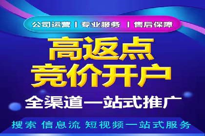谷歌竞价广告在电商行业的运用案例